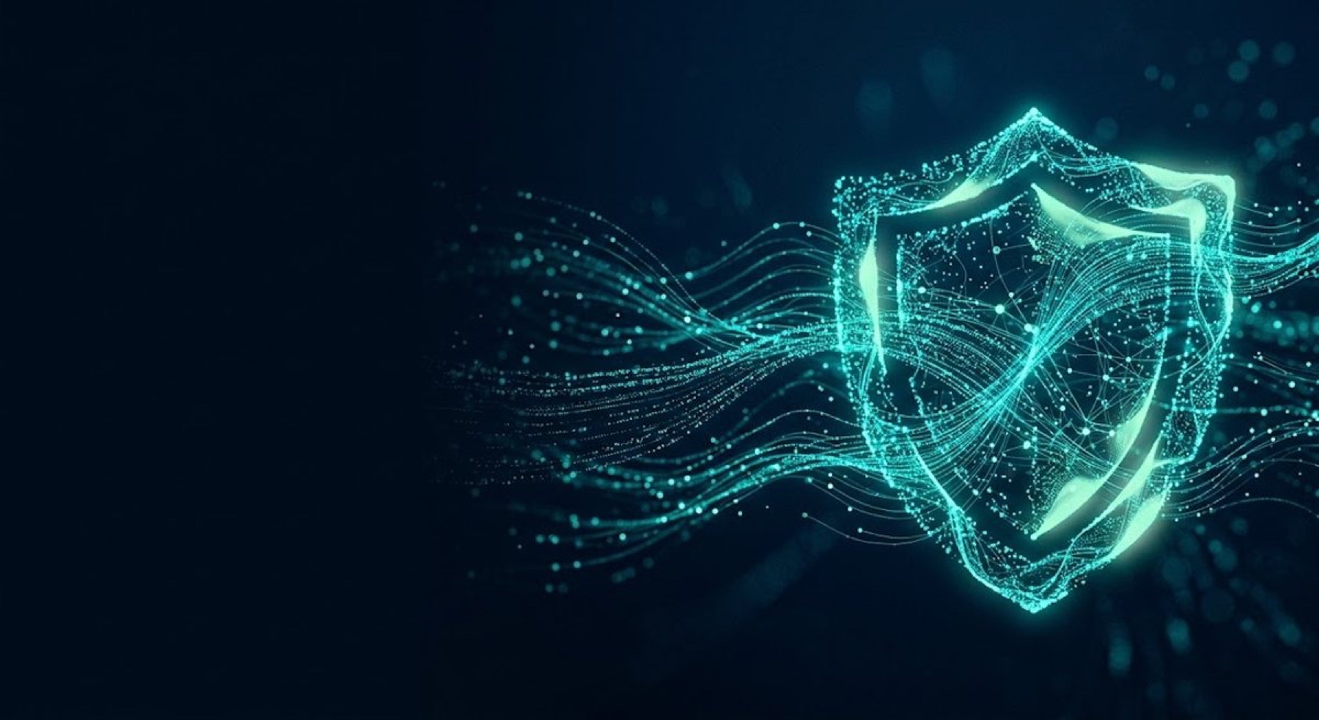 AI 사이버보안 규제 대응 — 디지털 실드 네트워크